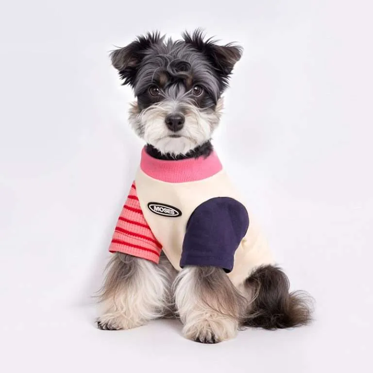 custom dog hoodies 2