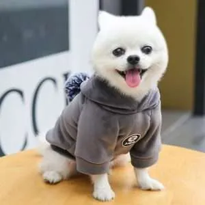 dog hoodies 5